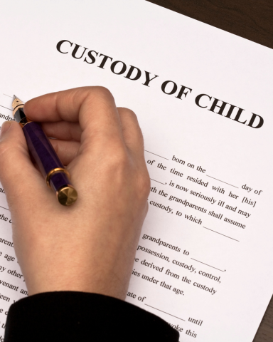 Child custody lawyer