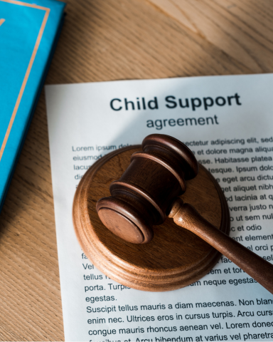 Child support lawyer