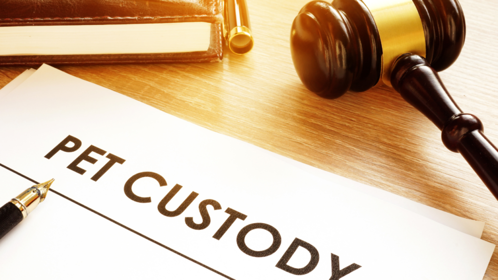 How does custody of pets work